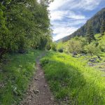 A dirt path winds through lush green grass and trees in Providence Canyon, Utah, with a clear blue sky above and distant mountains visible in the background.