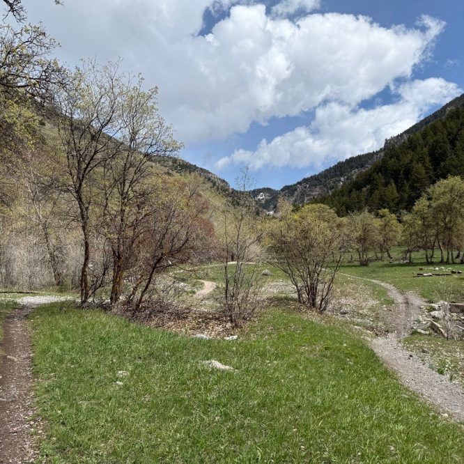 A winding dirt path surrounded by green grass and trees leads through Providence Canyon, Utah, under a partly cloudy blue sky. The scene showcases mountains in the background and signs of spring with budding leaves on the trees.