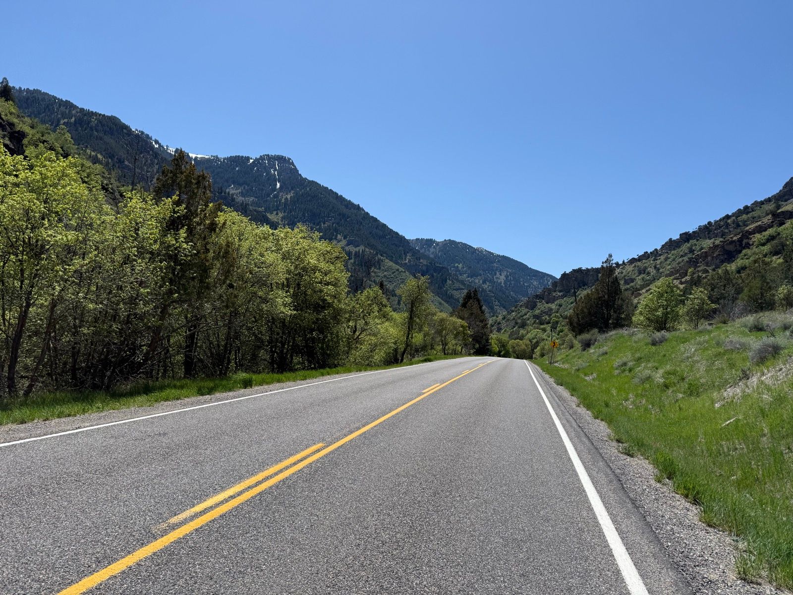 A scenic view of a winding road in Nibley, Utah, surrounded by lush green trees and mountains under a clear blue sky.
