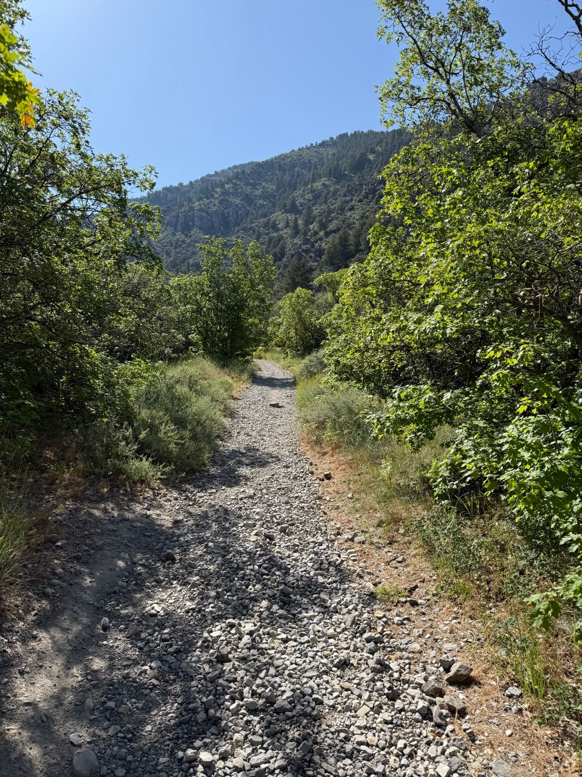 A rocky trail winding through lush greenery, leading into a mountainous area under a clear blue sky in Providence Canyon, Utah.