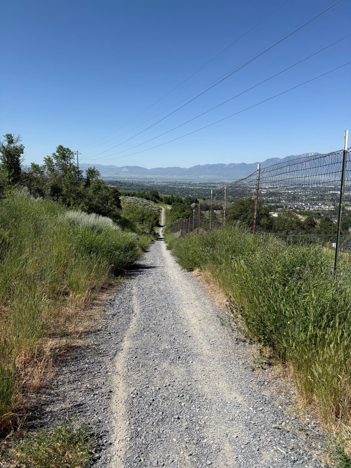 A gravel road slopes downhill through green grass on either side, leading toward a distant view of mountains under a clear blue sky. Power lines run along the left side of the path.