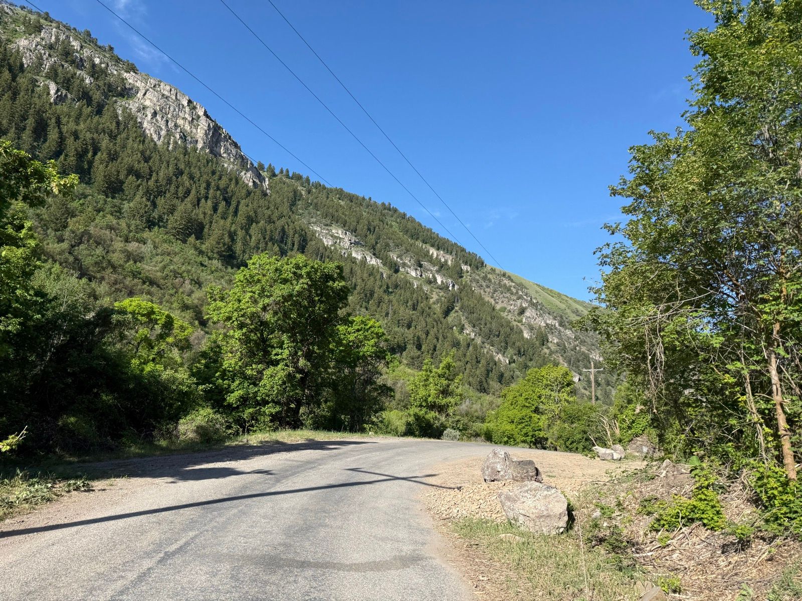 A winding road in Porcupine Dam, Utah, surrounded by lush green trees and mountains. The sky is clear and blue, with power lines stretching across the scene.