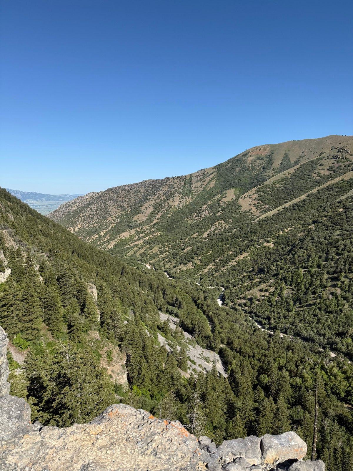 A scenic view of Providence Canyon in Utah, showcasing green hills and valleys dotted with trees under a clear blue sky.