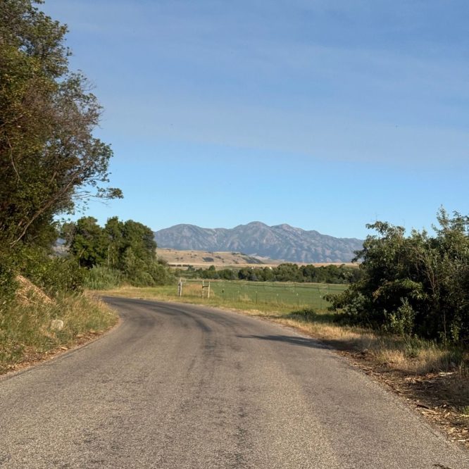 A winding road in Nibley, Utah, surrounded by trees on the left and open fields on the right, with mountains visible in the background under a clear blue sky.