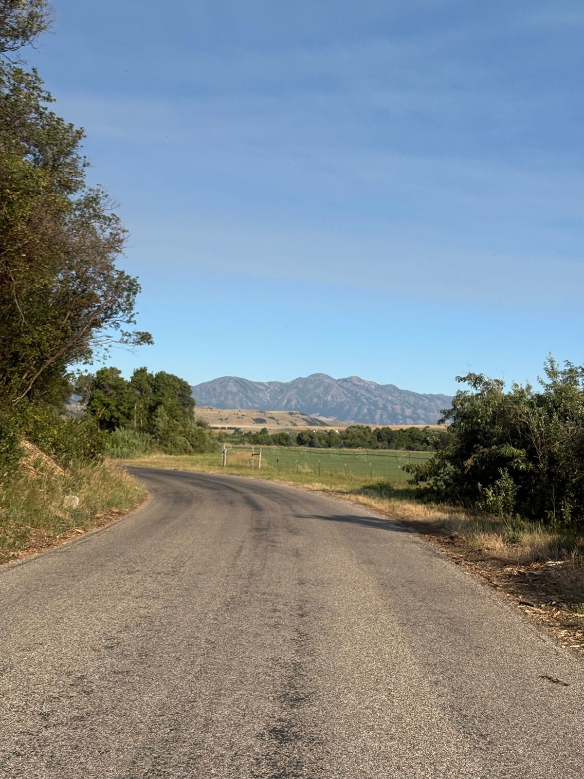 A winding road in Nibley, Utah, surrounded by trees on the left and open fields on the right, with mountains visible in the background under a clear blue sky.
