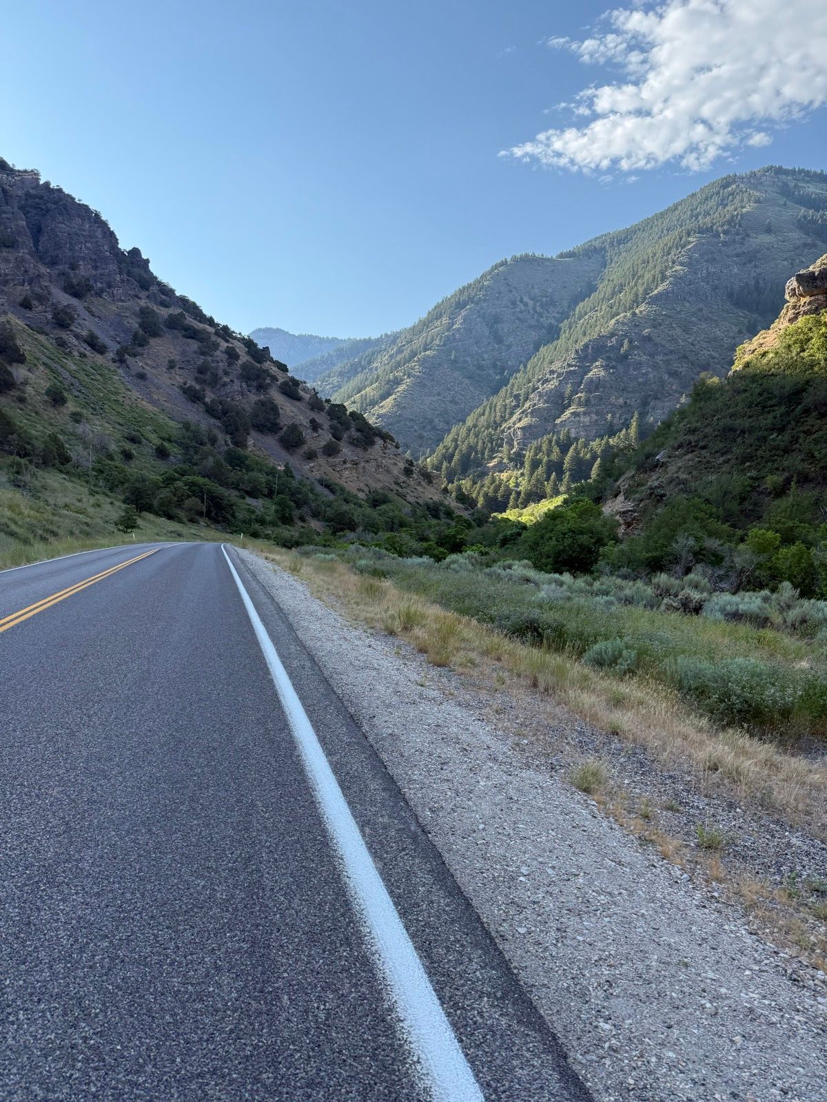 A scenic view of a highway running through a mountainous area in Nibley, Utah. The road is flanked by steep hills covered with trees and greenery under a clear blue sky.