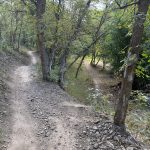 A dirt path winds through a wooded area at Providence Canyon, Utah. On either side of the trail, trees provide a lush green canopy, and the ground is scattered with rocks and soil. Two diverging trails can be seen, leading off into the distance.