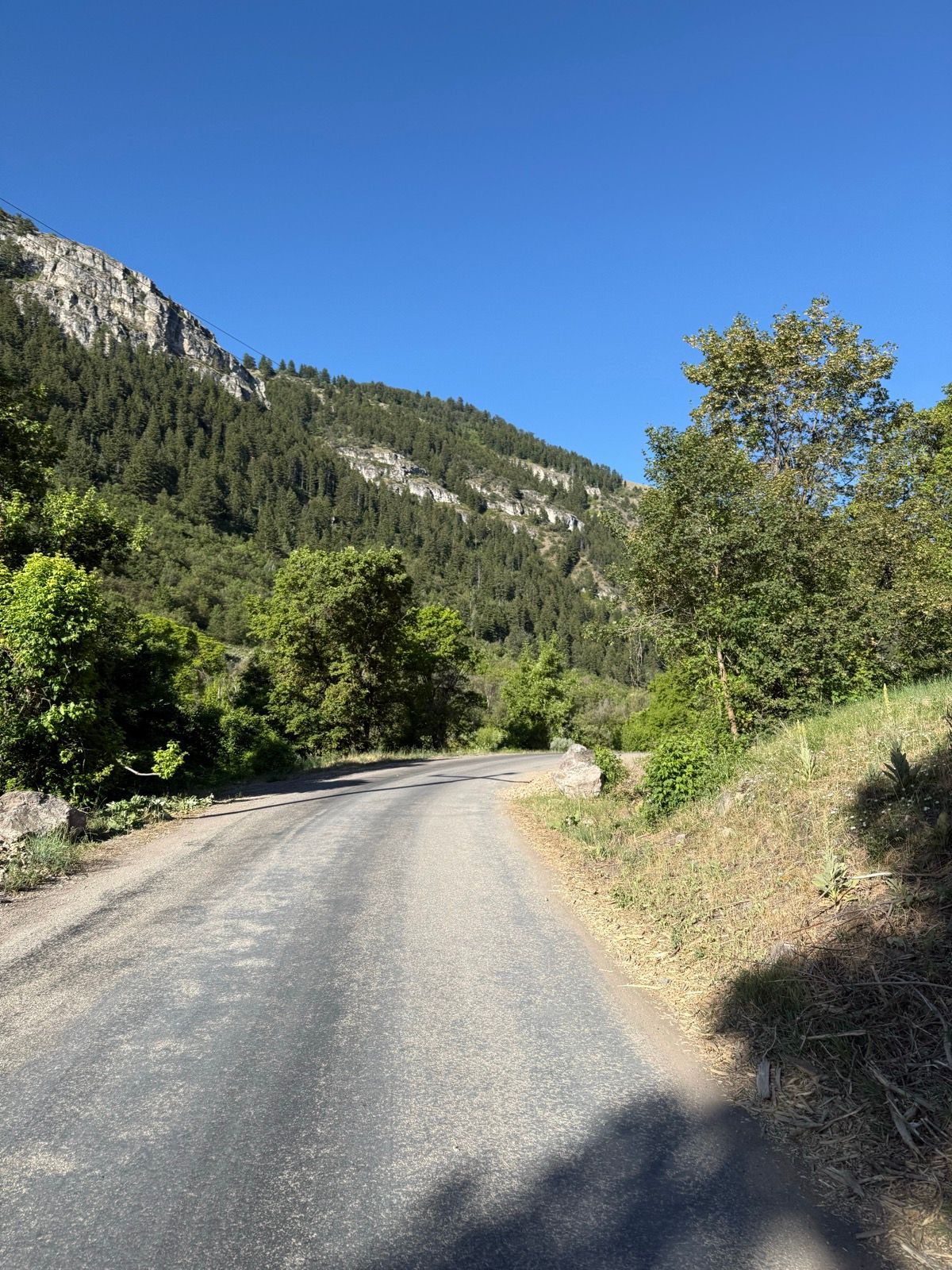 A winding gravel road curves through a lush green landscape with trees and rocky hills under a clear blue sky in Nibley, Utah.