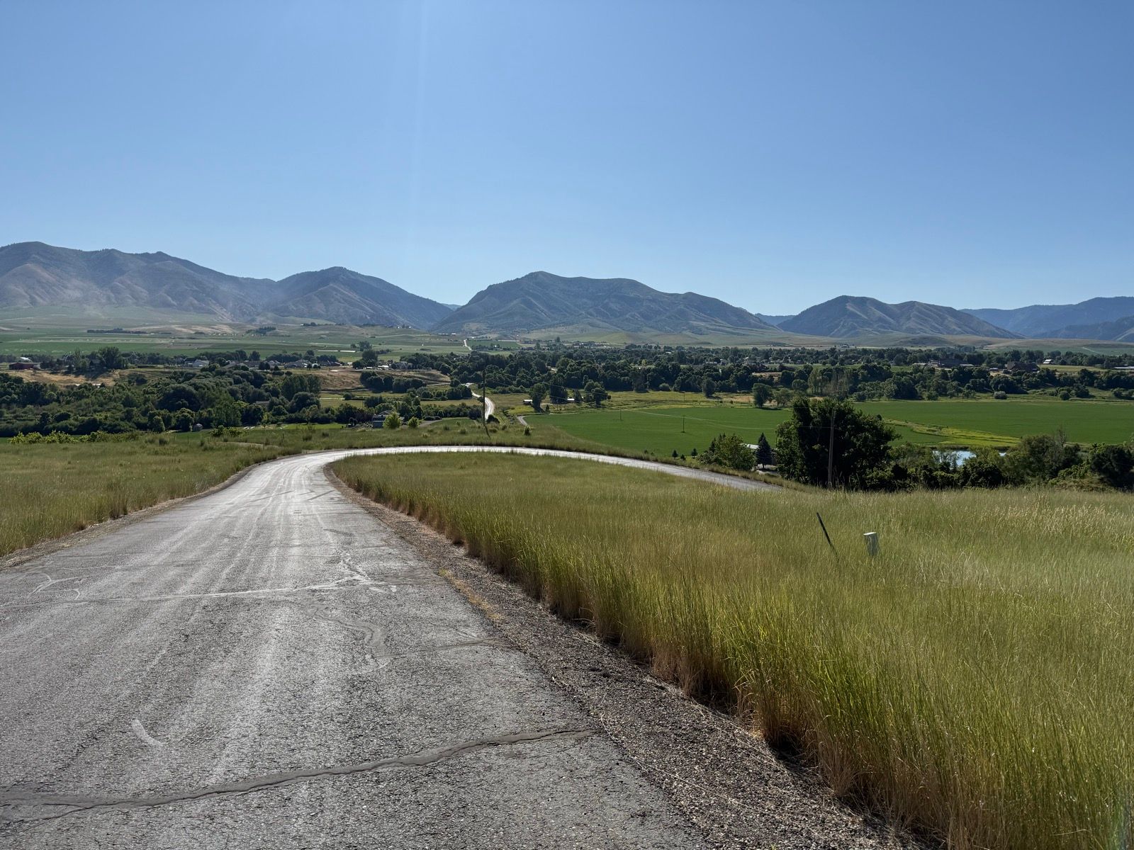 A winding road leads through tall grass, with green fields and trees in the background, and mountains rising in the distance under a clear blue sky.