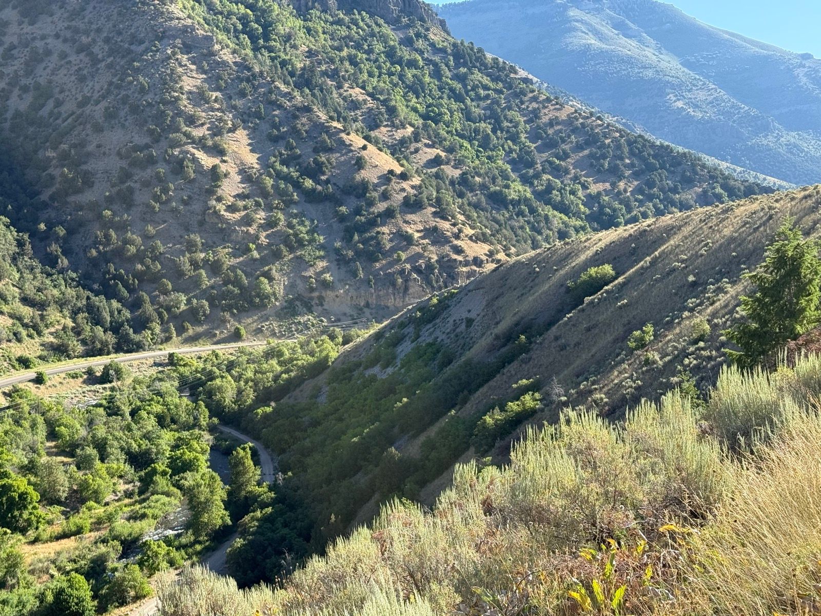 A panoramic view of rolling hills and green vegetation in Providence, Utah. The landscape features a winding road and a river flowing through a lush valley surrounded by mountains under a clear sky.