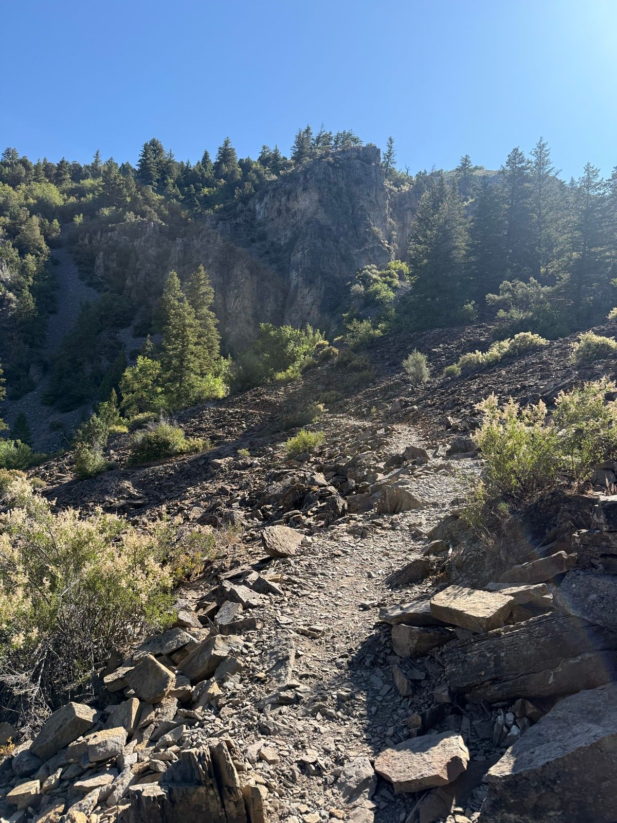 A rocky trail winding through a mountainous landscape in Paradise, Utah, surrounded by green trees and shrubs under a clear blue sky.