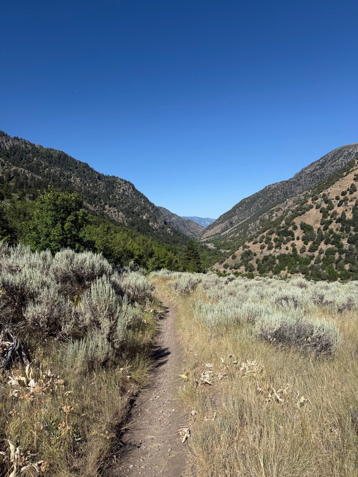 A dirt path leads through grassy areas and shrubs in a valley surrounded by mountains under a clear blue sky, photographed in Paradise, Utah.