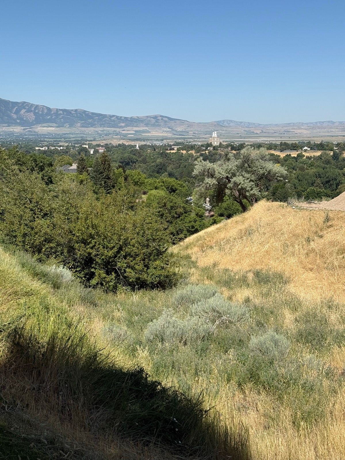 A scenic view of Paradise, Utah, featuring rolling hills with green trees and patches of golden grass. In the distance, mountains rise under a clear blue sky. The landscape showcases a mix of vegetation and open fields.