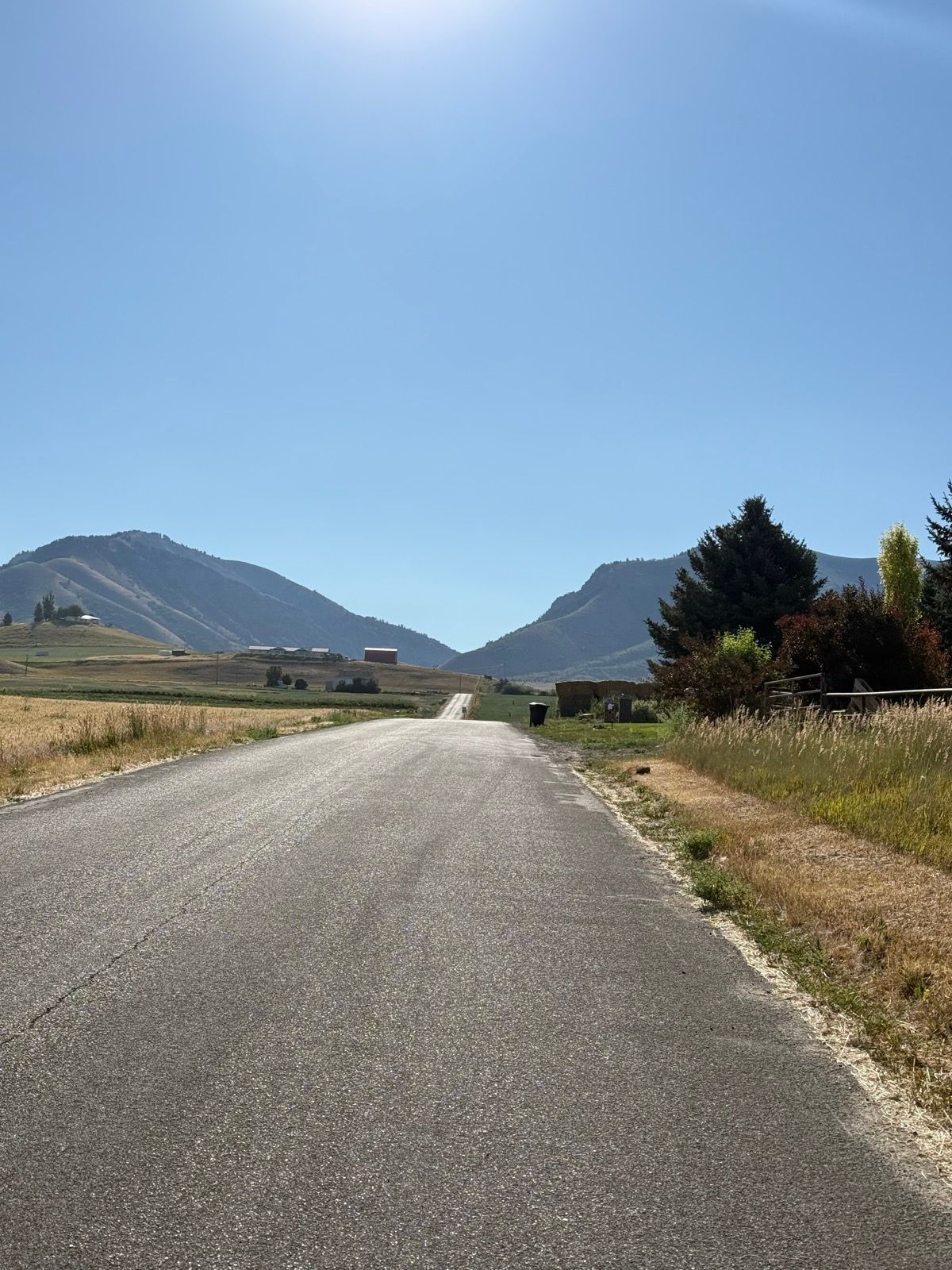 A clear view of a paved road in Nibley, Utah, flanked by tall grass and a few trees, with rolling hills and mountains in the background under a bright blue sky.