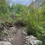 A narrow dirt path leads through dense greenery in Providence Canyon, Utah, flanked by rocky terrain and low shrubs, under an overcast sky.