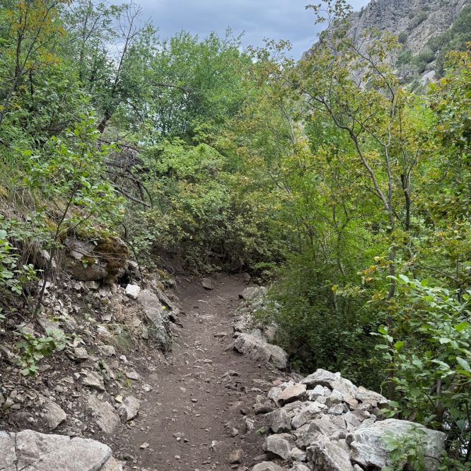 A narrow dirt path leads through dense greenery in Providence Canyon, Utah, flanked by rocky terrain and low shrubs, under an overcast sky.