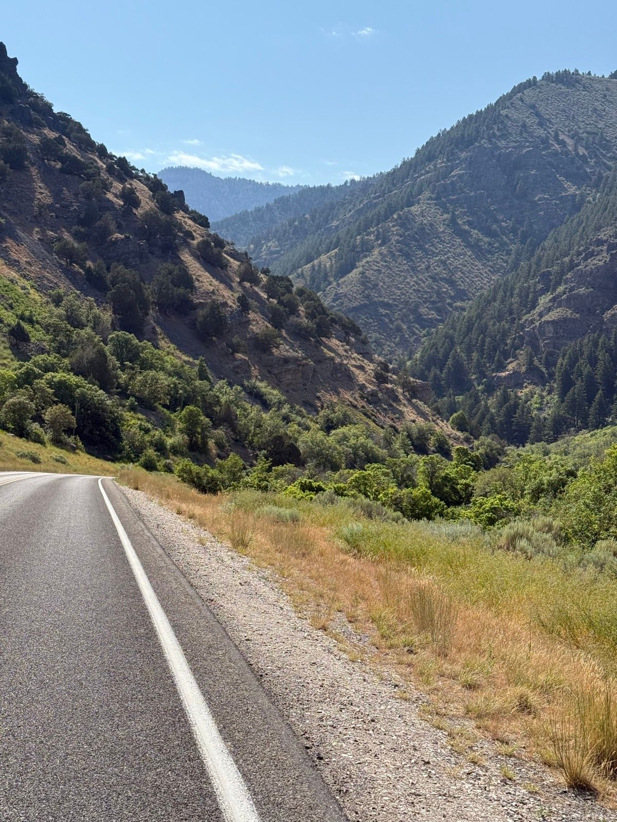 A scenic view of a winding road surrounded by lush green hills and mountains in Nibley, Utah, under a clear blue sky.