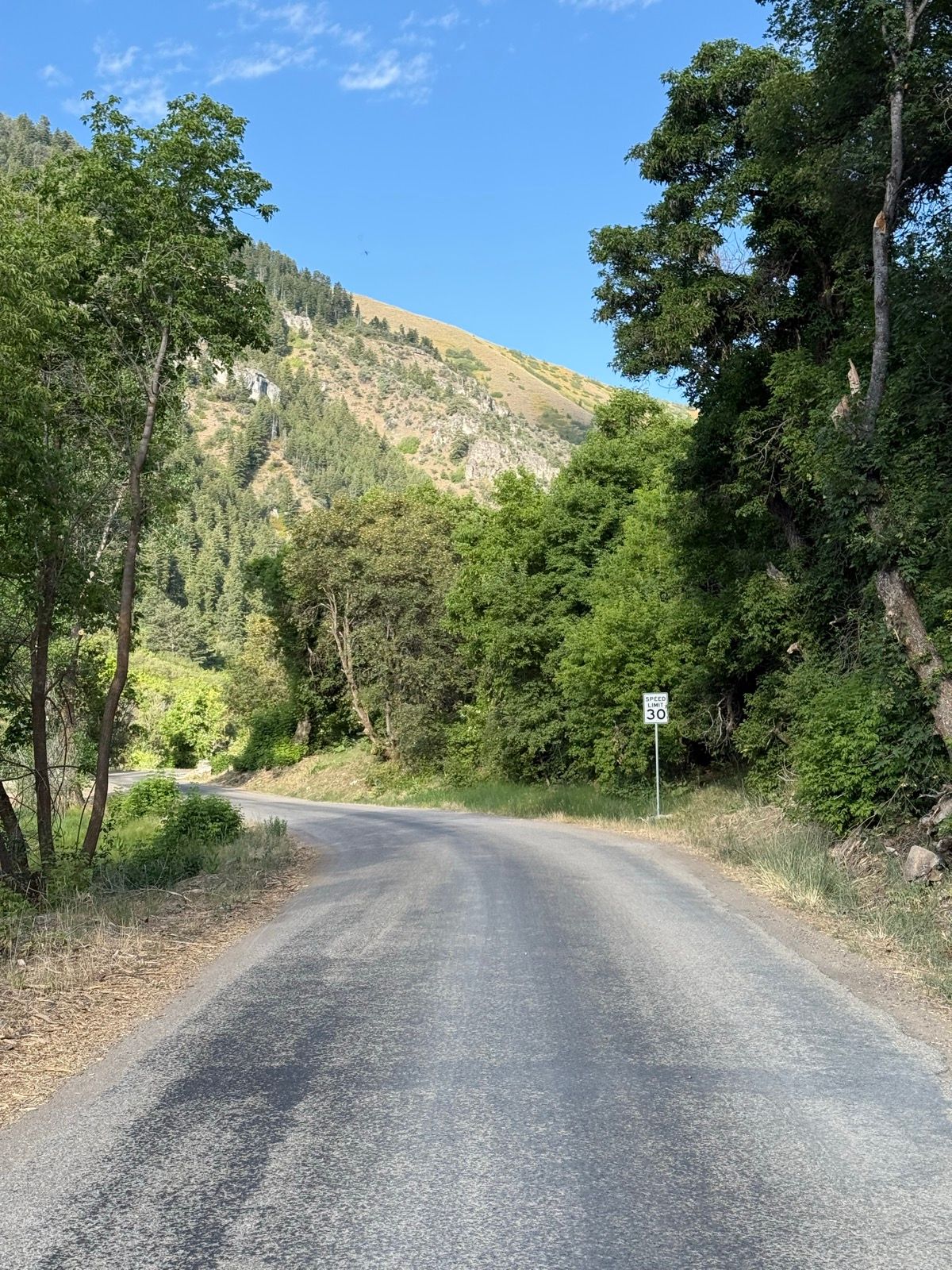 A winding road lined with trees, leading towards a hillside in Nibley, Utah. A speed limit sign indicating 30 mph is visible along the roadside, and the sky is clear with a few clouds.
