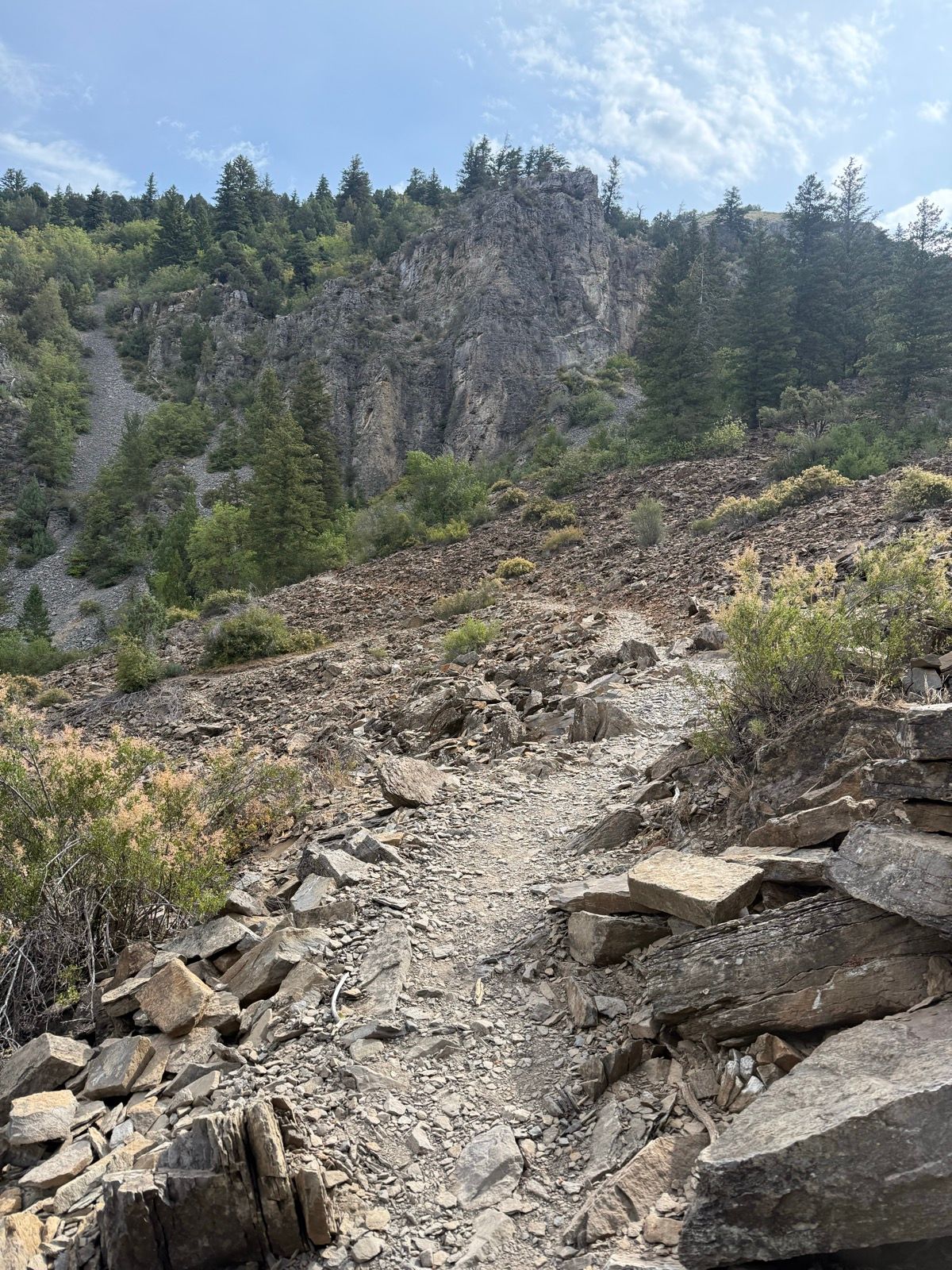 A rocky hiking trail winds through a mountainous area in Paradise, Utah, surrounded by green vegetation and trees. Steep cliffs rise in the background under a partly cloudy sky.