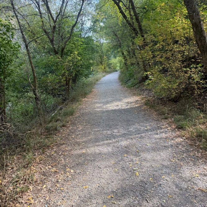 A gravel path winds through a tree-filled area in Paradise, Utah, surrounded by greenery and scattered autumn leaves. The scene captures a peaceful outdoor setting with trees on either side and a clear sky above.