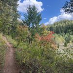A dirt trail winds through a forested area with green foliage and patches of autumn-colored leaves. The sky is partly cloudy, and hills lined with trees are visible in the background.