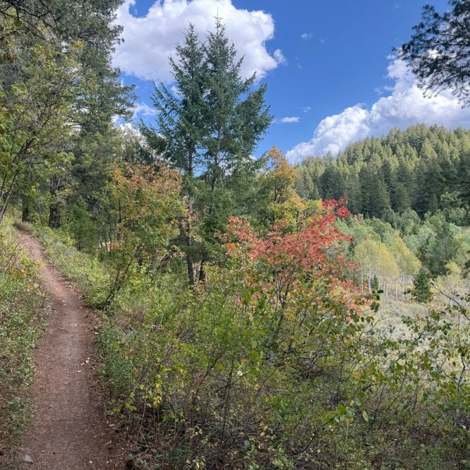A dirt trail winds through a forested area with green foliage and patches of autumn-colored leaves. The sky is partly cloudy, and hills lined with trees are visible in the background.