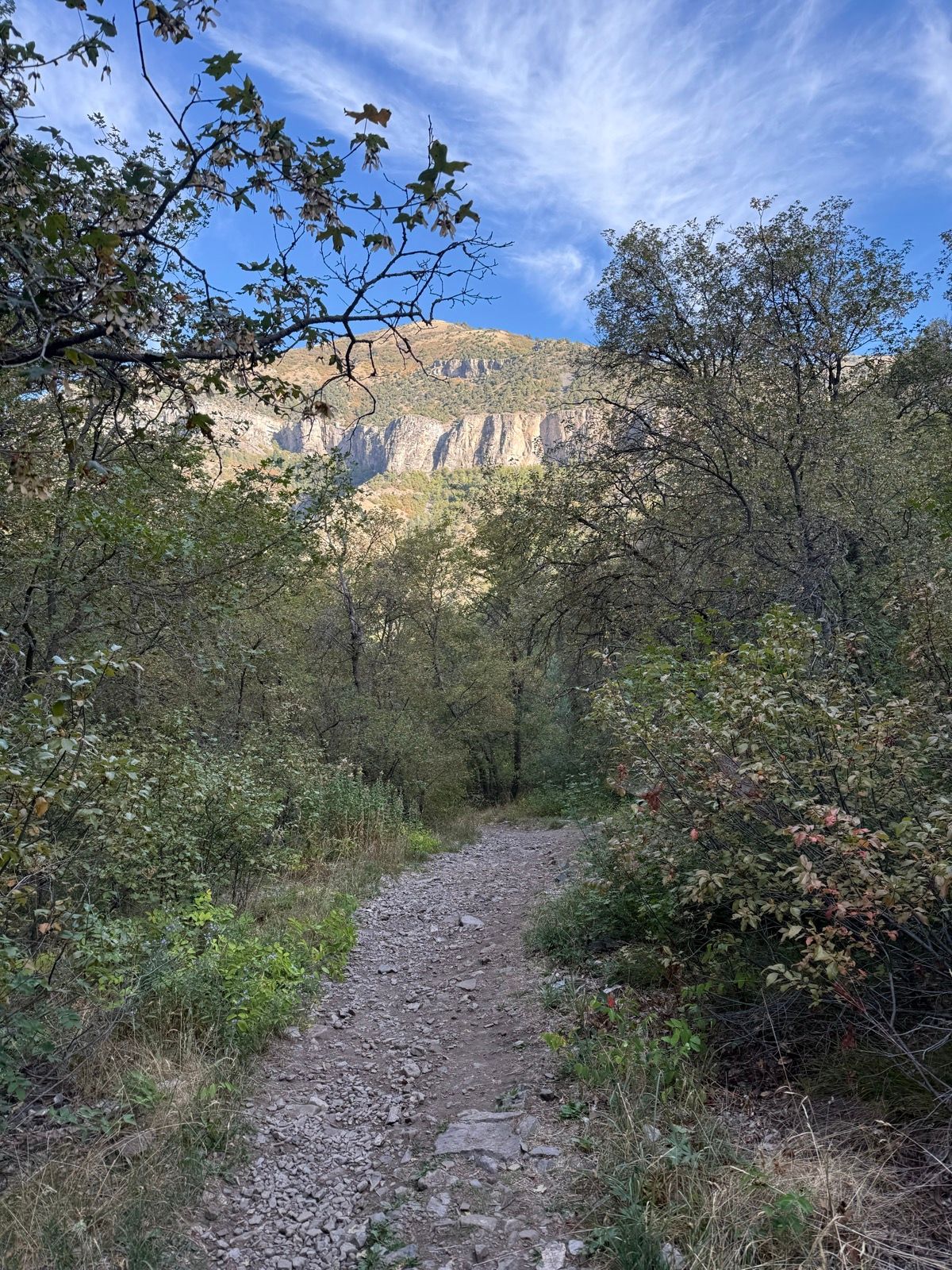 A rocky trail leads through a forested area with green bushes and trees, set against a backdrop of steep cliffs and a blue sky with wispy clouds. The scene is located in Paradise, Utah.