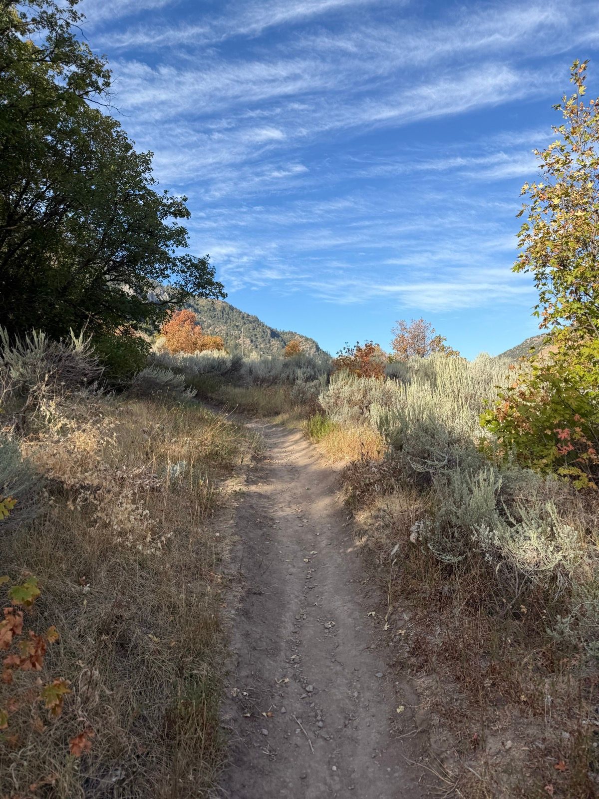 A dirt path winds through sagebrush and grasses, bordered by trees with autumn foliage under a blue sky with wispy clouds in Paradise, Utah.