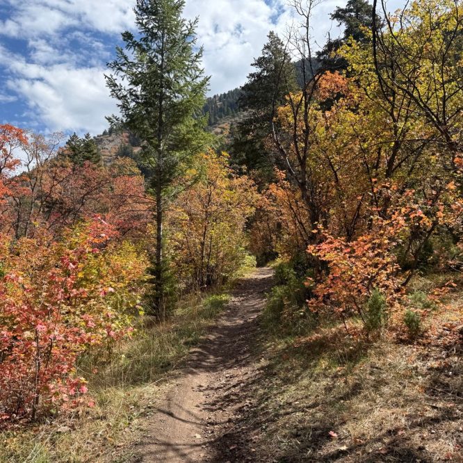 A winding dirt path runs through a forested area with trees displaying vibrant autumn colors, including shades of orange and yellow. The sky is partly cloudy, and hills are visible in the background at Providence Canyon, Utah.