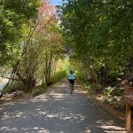 A person riding a bike on a gravel path surrounded by trees in Logan, UT. A sign indicating the direction of a trail is visible on the right side of the photo. The scene is bright and sunny, with green foliage and a clear blue sky.