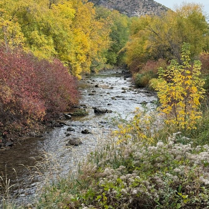 A scenic view of a stream flowing through a colorful forest in Providence, Utah. The foliage features vibrant autumn leaves in shades of yellow, orange, and red, while rocky areas are visible in the water. The backdrop includes gentle hills under a partly cloudy sky.