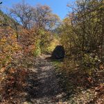A dirt path through trees with colorful autumn foliage, leading into a canyon at Providence Canyon, Utah. A large rock is visible along the side of the trail under a clear blue sky.