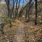 A dirt path winds through a forest in Providence Canyon, Utah, surrounded by trees with bare branches and patches of yellow and brown fallen leaves covering the ground. The sky is partly cloudy.