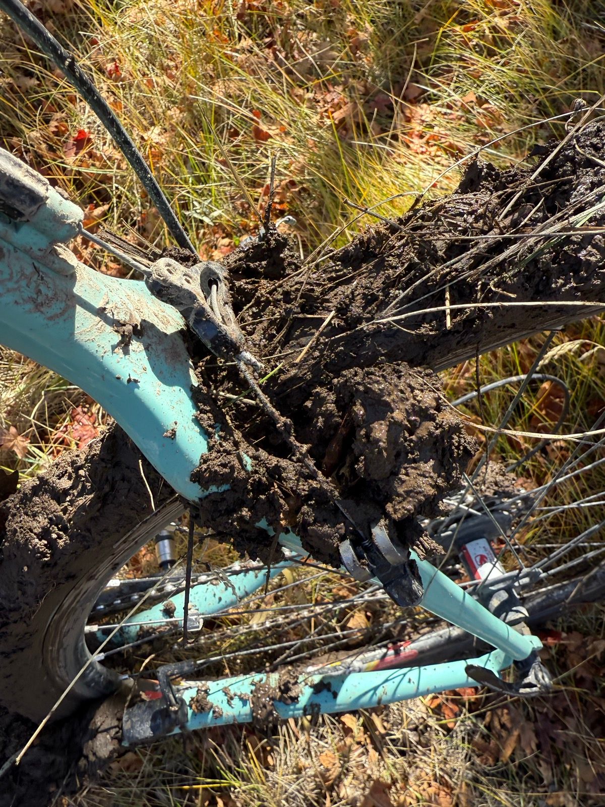 Close-up of a mountain bike frame and wheel covered in mud, with grass and fallen leaves in the background. The image captures the aftermath of riding in a muddy area in Paradise, Utah.
