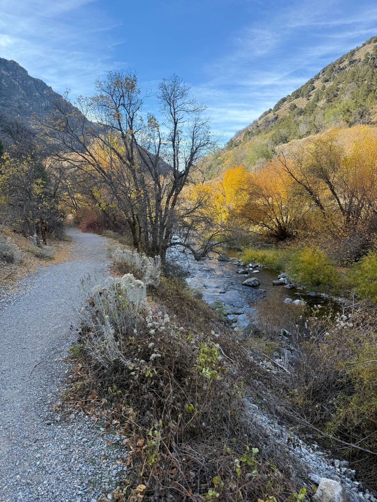 A picturesque gravel path winds alongside a clear stream, surrounded by autumn-colored trees and rocky mountains under a blue sky in Paradise, Utah.