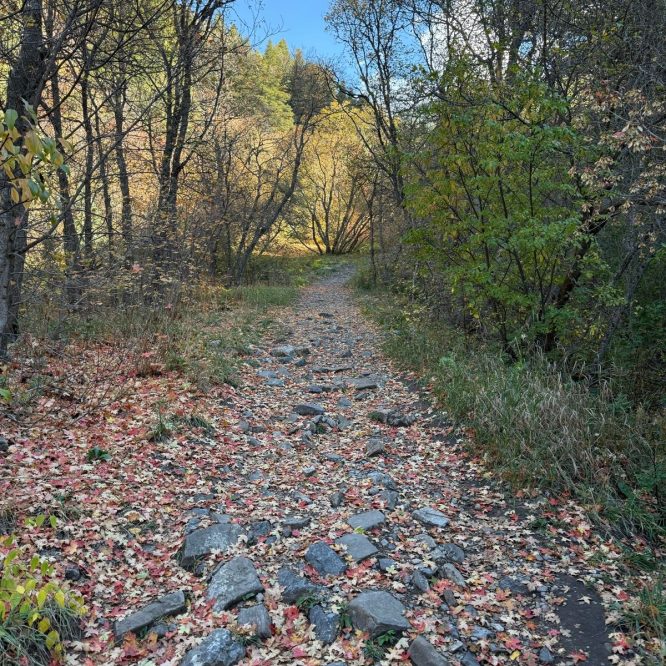 A winding rocky path is surrounded by trees in autumn foliage, with fallen leaves in shades of red and yellow covering the ground. The scene is set in Providence, Utah, under a clear blue sky.
