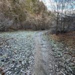 A narrow, dirt trail winds through a frosty landscape in Providence Canyon, Utah. The path is lined with fallen leaves, and trees, some bare and others with early blooms, surround the area under a cloudy sky.