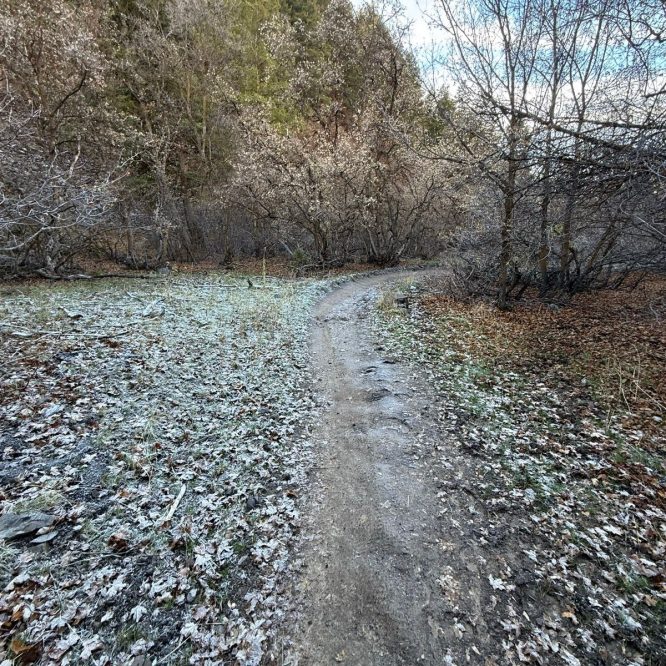A narrow, dirt trail winds through a frosty landscape in Providence Canyon, Utah. The path is lined with fallen leaves, and trees, some bare and others with early blooms, surround the area under a cloudy sky.