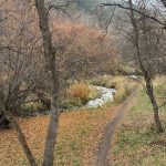 A scenic view of a winding trail lined with autumn leaves, alongside a small creek. Bare trees with scattered yellow and orange foliage are visible, set against a backdrop of mountains. The atmosphere is calm and serene, typical of Providence Canyon, Utah.