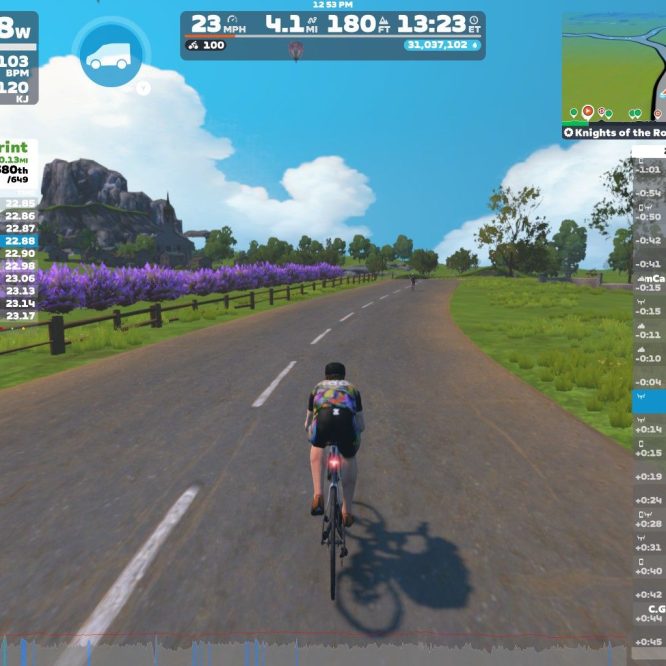 A cyclist is riding down a digital road within the Zwift virtual cycling platform, surrounded by greenery and vibrant purple flowers. The screen displays the cyclist's current speed, power output, and heart rate, as well as live race results and nearby competitors. The sky is bright and clear, enhancing the virtual outdoor experience.