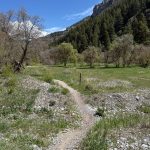 A winding dirt path leads through a grassy area surrounded by trees, with mountains visible in the background under a clear blue sky. The landscape is vibrant and green, typical of Providence Canyon, Utah.