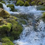 A close-up view of a flowing stream in Paradise, Utah, featuring green moss-covered rocks and clear water cascading over them.