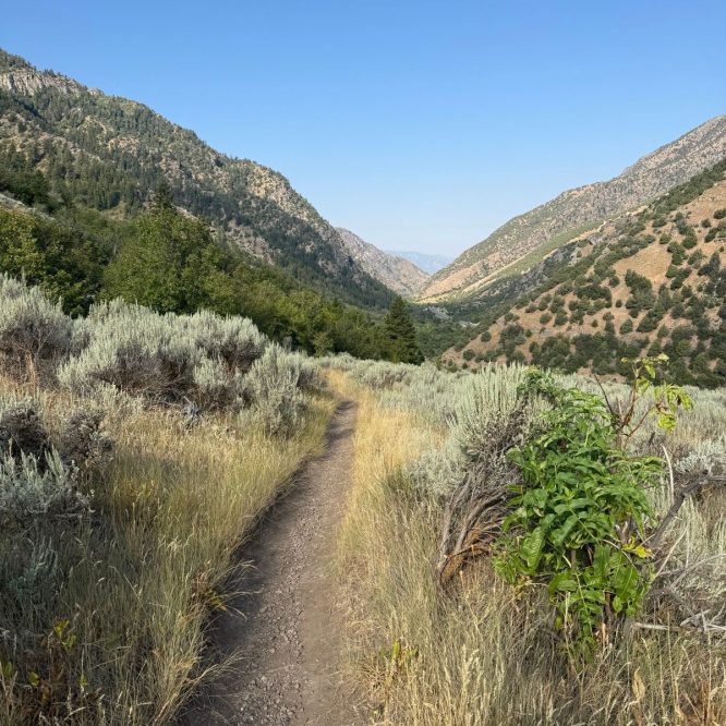 A dirt path winds through grass and shrubs in a mountainous landscape on a clear day in Paradise, Utah. The path is flanked by green vegetation and leads into a valley surrounded by hills.