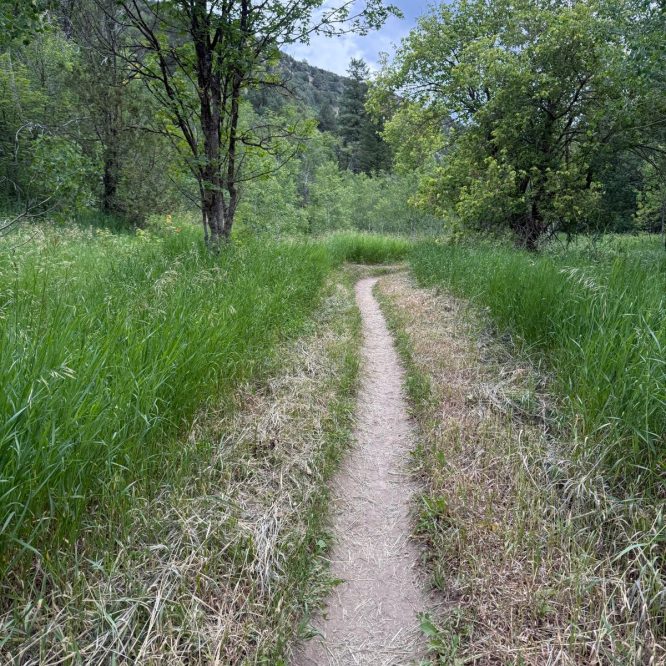 A narrow dirt path winds through lush green grass and trees in Green Canyon, Utah, under a cloudy sky.