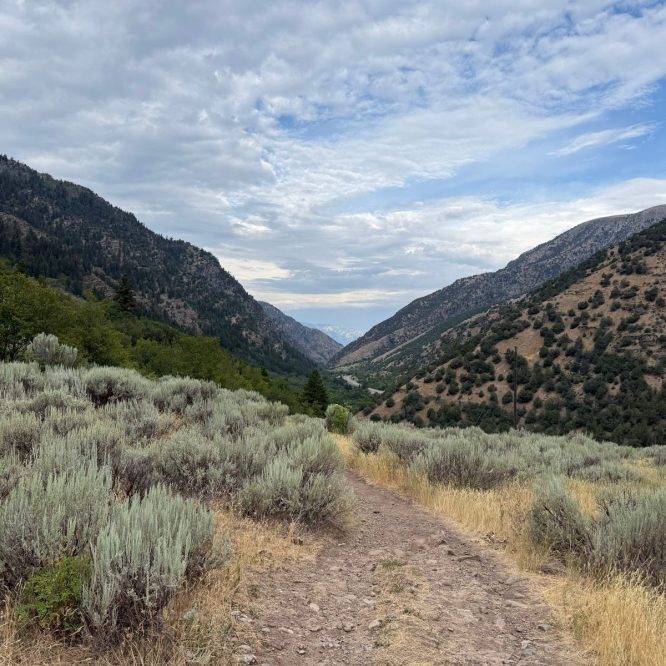 A scenic view of a pathway winding through sagebrush and tall grass, flanked by mountains in Providence, Utah. The sky is partly cloudy, and the landscape features lush greenery along the trail, with rocky hills in the background.