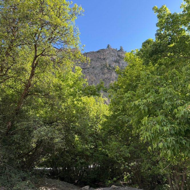 A view of Providence Canyon in Utah, featuring lush green trees in the foreground and a rocky cliff in the background under a clear blue sky.