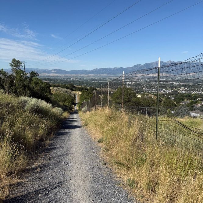 A gravel path winds down a hillside with tall grass on either side, leading toward a valley. Fences line the path, and in the background, mountains rise under a clear blue sky.