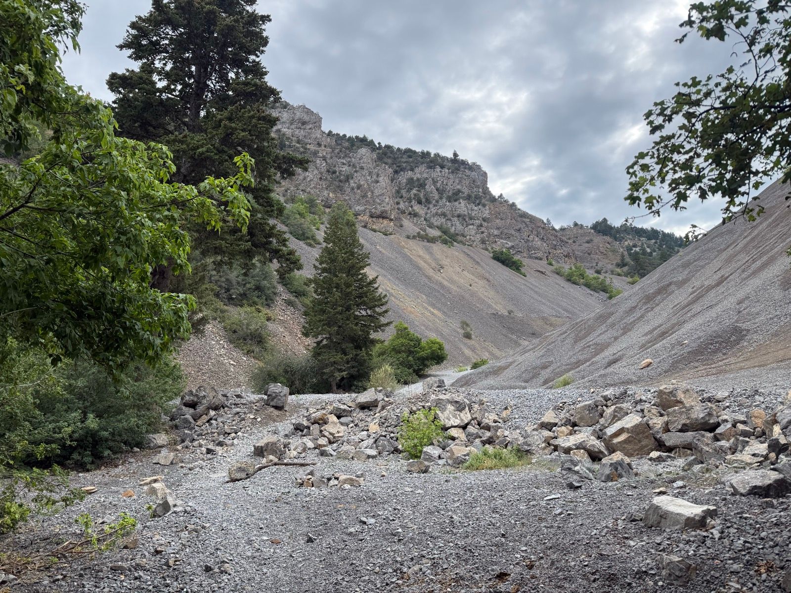 A view of Providence Canyon in Utah showing rugged terrain with steep, rocky slopes and scattered boulders. Lush green trees are present on the sides, and the sky is overcast.