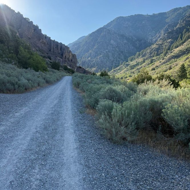 A gravel road winds through a lush valley, surrounded by rocky hills and mountains under a clear blue sky in Paradise, Utah. Sagebrush and greenery line the sides of the path.