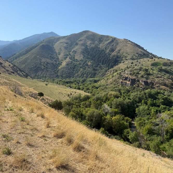 A scenic landscape view in Providence, Utah, featuring rolling hills, grassy areas, and dense greenery in the valley below. The sky is clear and blue, showcasing the mountains in the background. A dirt path runs along the hillside.